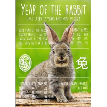 12560 Year of the Rabbit 2023 ENGELSTALIG